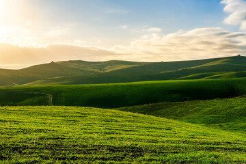 green field in countryside farm at sunset in evening light. beautiful spring landscape in hills. grassy field and hill. rural scenery