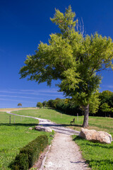 Landscape - rural area in summer