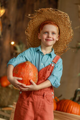 A boy with red hair, a straw hat, and orange overalls picks pumpkins. Autumn. Harvest.