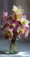Delicate pink and cream hellebores in vintage jar