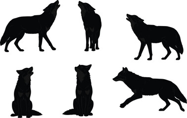 Black wolf silhouettes set, wild animal howling, sitting, standing, walking, isolated on white background, predator vector illustration, wildlife design artBlack wolf silhouettes 