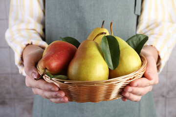 Woman holding fresh pears in wicker bowl near light tiled wall, closeup