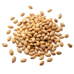 coffee beans isolated on white