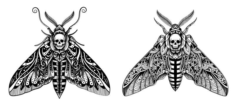 Vector art of two deaths head moths with skull in black and white style drawing