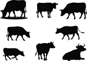 Cow silhouette vector set, grazing cattle illustration, farm animal artwork, livestock drawing, black cow design, dairy cow shapes, pasture cattle