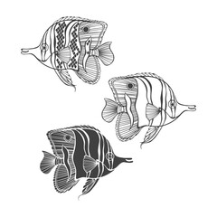 Copperband Butterflyfish. Vector isolated elements for design on white. Perfect for menu decoration, invitation, card, poster and as a design element.