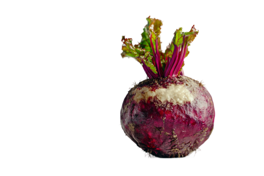 Beetroot for wellness illustration isolated on transparent background