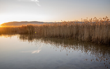As the sun sets, its golden glow reflects off a tranquil lake and illuminates the reeds, creating a serene scene at the water's edge with distant mountains silhouetted against the vibrant sky