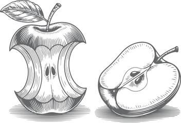 Vintage stipple engraving illustration of a bitten apple with detailed texture, isolated on transparent background for design use