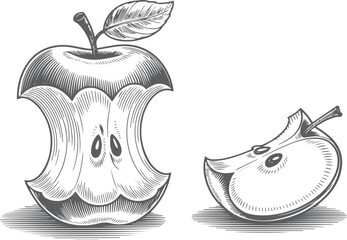 Vintage stipple engraving illustration of a bitten apple with detailed texture, isolated on transparent background for design use