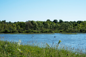 A tranquil lakeside landscape unfolds with a rich tapestry of dense green foliage lining the shores, reflecting in the shimmering blue waters under a clear sky, exuding serenity and natural beauty