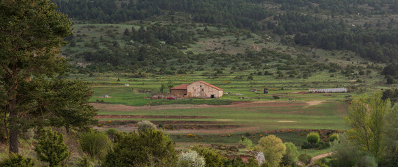 A rustic farmhouse nestles within a verdant valley, surrounded by a patchwork of fields and scattered trees, under the soft light of an overcast sky, evoking a timeless rural charm