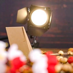 Studio shot with a spotlight and treats