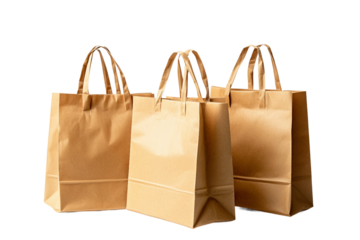 Green packaging solution kraft bag isolated on transparent background