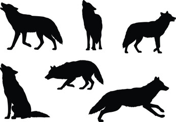 Wolf silhouette collection, wild animal vector illustration, howling, sitting, walking, running, isolated black shapes, predator wildlife design, forest nature