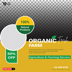 modern infographics options banner