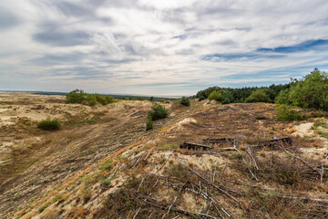 Curonian Spit National Park. Zelenogradsk, Kaliningrad Oblast, Russia.