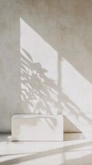 A white box with a plant in it sits in front of a wall. The plant casts a shadow on the wall, creating a sense of depth and dimension. The scene evokes a feeling of calm and serenity, as the plant