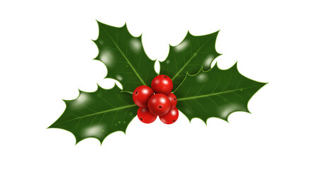 Holly berries and leaves graphic design element