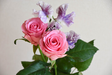 Fototapeta premium 薔薇とスイートピー