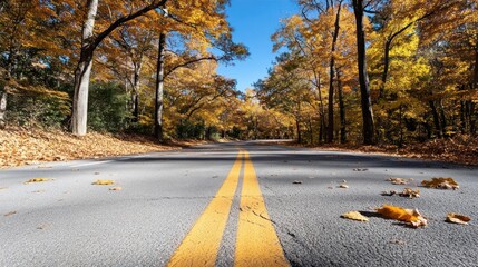 Golden canopy road reflecting autumn hues, nature's vivid artistry on asphalt pathway