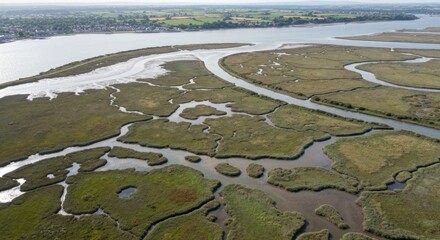 Aerial view of a salt marsh.  Intertwined waterways,  lush vegetation,  and  islands of marshland.  Houses and fields visible in the distance