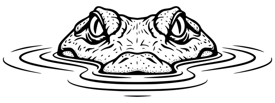Alligator or crocodile head lurking in the water with ripples, predator, swamp, danger, reptile, animal