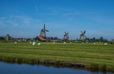 Windmills in Zaanse Schans, the Netherlands, stand tall against a bright blue sky, surrounded by green fields and traditional Dutch houses. The peaceful landscape showcases the charm.