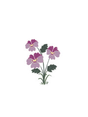 Violet February Flower