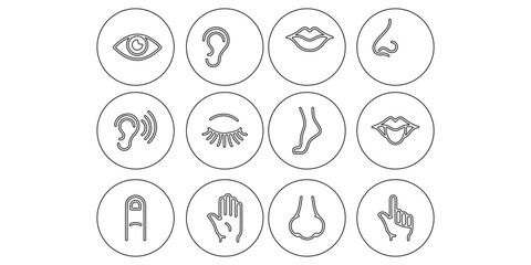 View icon. eye icon set