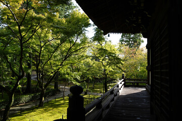 楓の緑に覆われる京都の寺院の庭園