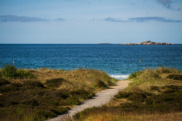 Wooden path through grass leading to ocean view.