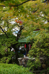 木々の葉が色づいて秋の気配が感じられる京都の寺院の境内