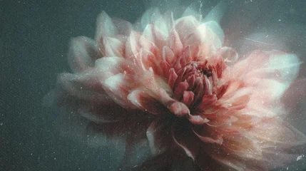 Papier peint photo Magasin de fleurs Soft Blurred Y2K Florals Vintage abstract floral background  © Iren Art