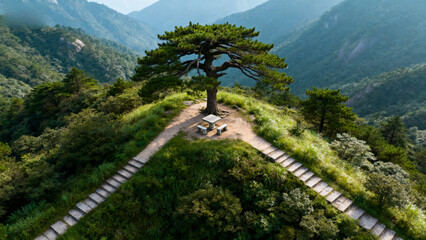 Aerial view of a solitary pine tree atop a mountain ridge with stone pathways leading to a small seating area surrounded by lush greenery and distant mountains.