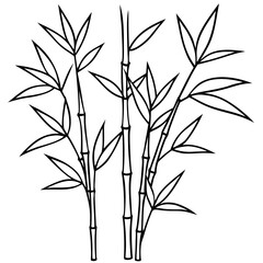 Bamboo Line Art Vector