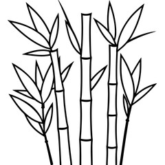 Bamboo Line Art Vector