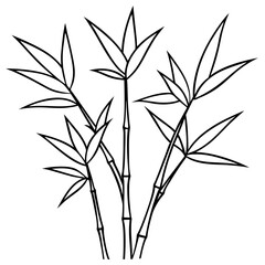 Obraz premium Bamboo Line Art Vector