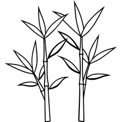 Obraz premium Bamboo Line Art Vector