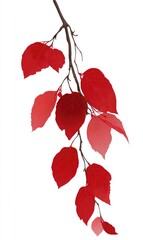 Autumnal branch with vibrant red leaves