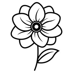 Anemone Bloom Vector