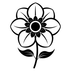 Anemone Bloom Vector