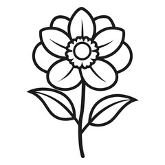 Anemone Bloom Vector