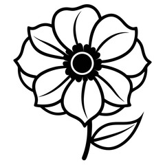 Anemone Bloom Vector
