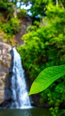 Waterfall cascading through lush green foliage