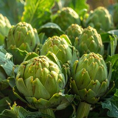 Obraz premium Fresh artichokes close-up