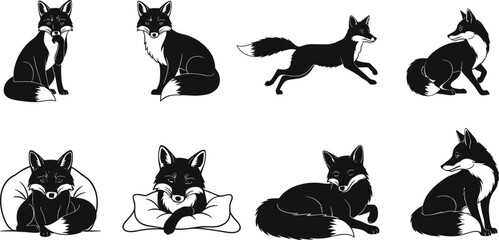 Web tyfyyct ytdytrrfyft ytdtyfy rsdhtfyj  dyfj jydt uf 