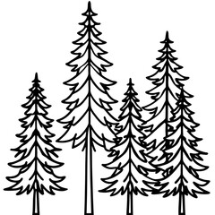 Pine Tree Line Art Vector