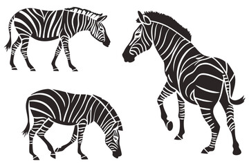 Obraz premium Zebra animal vector illustration african wildlife safari mammal black and white striped pattern design zebras silhouette