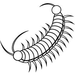Millipede line art vector